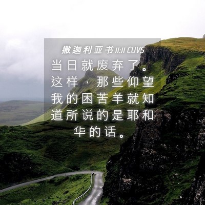 Picture 04 - 撒 迦 利 亚 书 11:11 CUVS - 当 日 就 废 弃 了 。 这 样 ， 那 些 - Bible Verse Picture