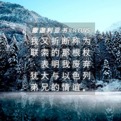 Picture 04 - 撒 迦 利 亚 书 11:14 CUVS - 我 又 折 断 称 为 联 索 的 那 根 杖 - Bible Verse Picture