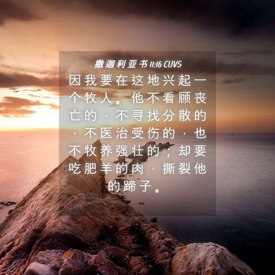 Picture 04 - 撒 迦 利 亚 书 11:16 CUVS - 因 我 要 在 这 地 兴 起 一 个 牧 人 - Bible Verse Picture