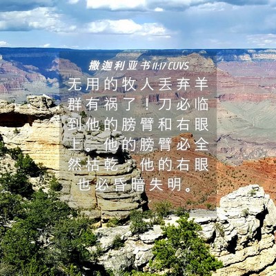 Picture 04 - 撒 迦 利 亚 书 11:17 CUVS - 无 用 的 牧 人 丢 弃 羊 群 有 祸 了 - Bible Verse Picture