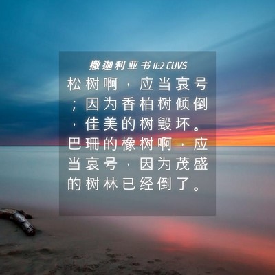 Picture 04 - 撒 迦 利 亚 书 11:2 CUVS - 松 树 啊 ， 应 当 哀 号 ； 因 为 香 - Bible Verse Picture