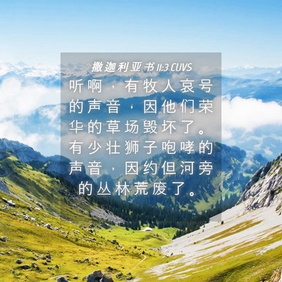 Picture 04 - 撒 迦 利 亚 书 11:3 CUVS - 听 啊 ， 有 牧 人 哀 号 的 声 音 ， - Bible Verse Picture