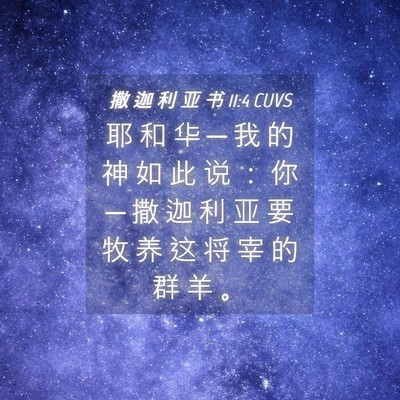 Picture 04 - 撒 迦 利 亚 书 11:4 CUVS - 耶 和 华 ─ 我 的 神 如 此 说 ： 你 - Bible Verse Picture