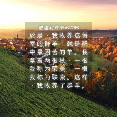 Picture 04 - 撒 迦 利 亚 书 11:7 CUVS - 於 是 ， 我 牧 养 这 将 宰 的 群 羊 - Bible Verse Picture