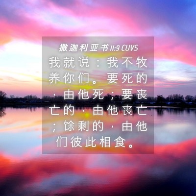 Picture 04 - 撒 迦 利 亚 书 11:9 CUVS - 我 就 说 ： 我 不 牧 养 你 们 。 要 - Bible Verse Picture