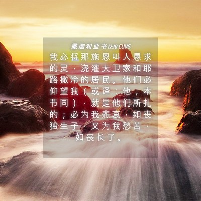 Picture 04 - 撒 迦 利 亚 书 12:10 CUVS - 我 必 将 那 施 恩 叫 人 恳 求 的 灵 - Bible Verse Picture