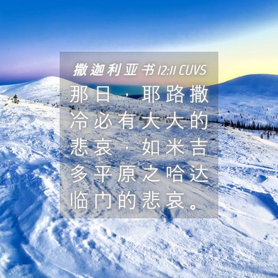 Picture 04 - 撒 迦 利 亚 书 12:11 CUVS - 那 日 ， 耶 路 撒 冷 必 有 大 大 的 - Bible Verse Picture