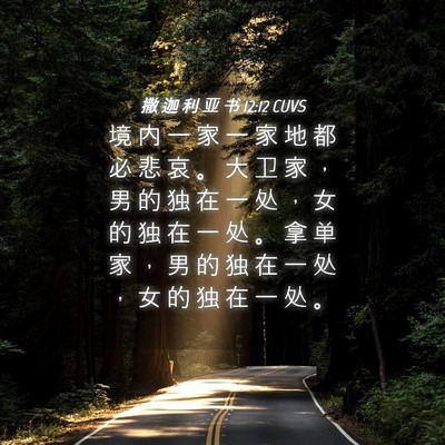 Picture 04 - 撒 迦 利 亚 书 12:12 CUVS - 境 内 一 家 一 家 地 都 必 悲 哀 。 - Bible Verse Picture