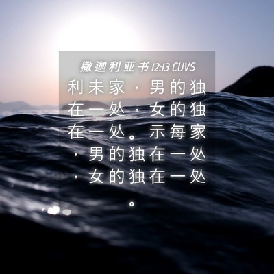 Picture 04 - 撒 迦 利 亚 书 12:13 CUVS - 利 未 家 ， 男 的 独 在 一 处 ， 女 - Bible Verse Picture