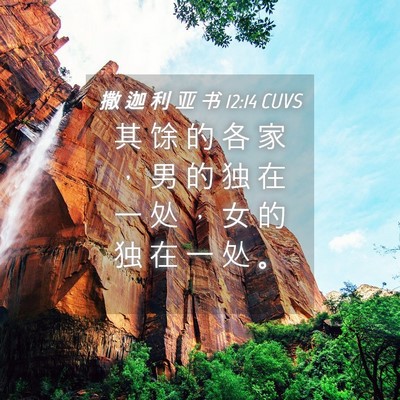 Picture 04 - 撒 迦 利 亚 书 12:14 CUVS - 其 馀 的 各 家 ， 男 的 独 在 一 处 - Bible Verse Picture