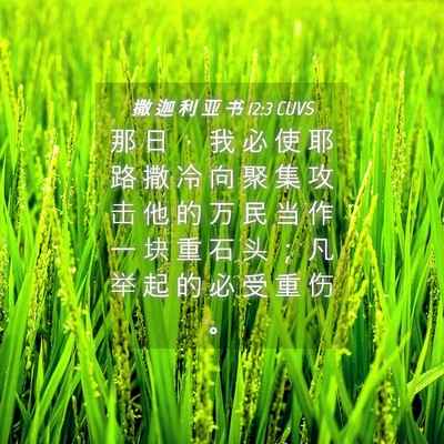 Picture 04 - 撒 迦 利 亚 书 12:3 CUVS - 那 日 ， 我 必 使 耶 路 撒 冷 向 聚 - Bible Verse Picture