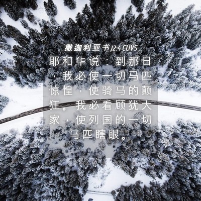Picture 04 - 撒 迦 利 亚 书 12:4 CUVS - 耶 和 华 说 ： 到 那 日 ， 我 必 使 - Bible Verse Picture