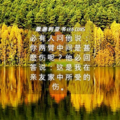 Picture 04 - 撒 迦 利 亚 书 13:6 CUVS - 必 有 人 问 他 说 ： 你 两 臂 中 间 - Bible Verse Picture