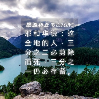 Picture 04 - 撒 迦 利 亚 书 13:8 CUVS - 耶 和 华 说 ： 这 全 地 的 人 ， 三 - Bible Verse Picture