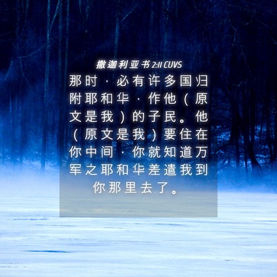 Picture 04 - 撒 迦 利 亚 书 2:11 CUVS - 那 时 ， 必 有 许 多 国 归 附 耶 和 - Bible Verse Picture