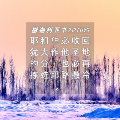 Picture 04 - 撒 迦 利 亚 书 2:12 CUVS - 耶 和 华 必 收 回 犹 大 作 他 圣 地 - Bible Verse Picture