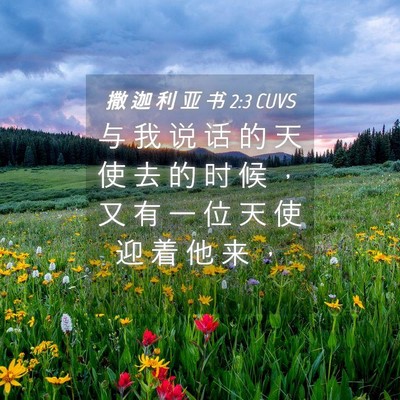 Picture 04 - 撒 迦 利 亚 书 2:3 CUVS - 与 我 说 话 的 天 使 去 的 时 候 ， - Bible Verse Picture