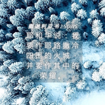 Picture 04 - 撒 迦 利 亚 书 2:5 CUVS - 耶 和 华 说 ： 我 要 作 耶 路 撒 冷 - Bible Verse Picture