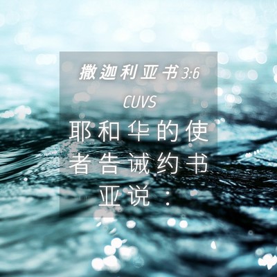 Picture 04 - 撒 迦 利 亚 书 3:6 CUVS - 耶 和 华 的 使 者 告 诫 约 书 亚 说 - Bible Verse Picture
