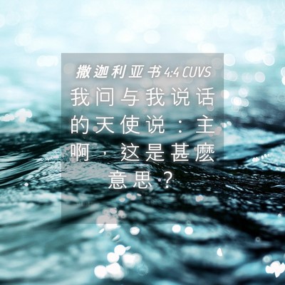 Picture 04 - 撒 迦 利 亚 书 4:4 CUVS - 我 问 与 我 说 话 的 天 使 说 ： 主 - Bible Verse Picture