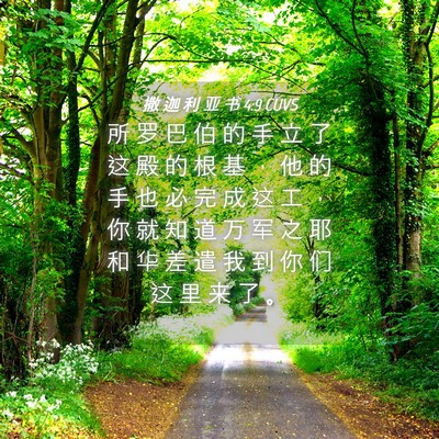 Picture 04 - 撒 迦 利 亚 书 4:9 CUVS - 所 罗 巴 伯 的 手 立 了 这 殿 的 根 - Bible Verse Picture