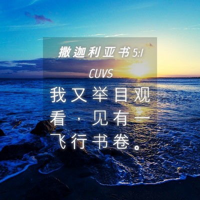 Picture 04 - 撒 迦 利 亚 书 5:1 CUVS - 我 又 举 目 观 看 ， 见 有 一 飞 行 - Bible Verse Picture