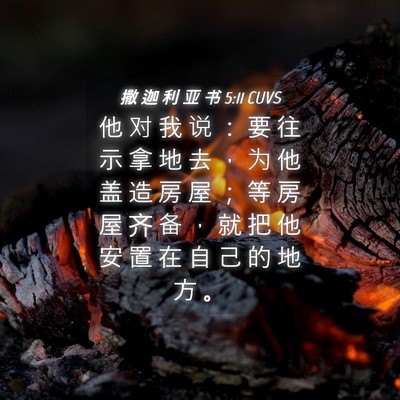Picture 04 - 撒 迦 利 亚 书 5:11 CUVS - 他 对 我 说 ： 要 往 示 拿 地 去 ， - Bible Verse Picture