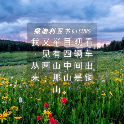 Picture 04 - 撒 迦 利 亚 书 6:1 CUVS - 我 又 举 目 观 看 ， 见 有 四 辆 车 - Bible Verse Picture
