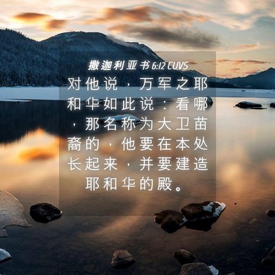 Picture 04 - 撒 迦 利 亚 书 6:12 CUVS - 对 他 说 ， 万 军 之 耶 和 华 如 此 - Bible Verse Picture