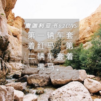 Picture 04 - 撒 迦 利 亚 书 6:2 CUVS - 第 一 辆 车 套 着 红 马 ， 第 二 辆 - Bible Verse Picture
