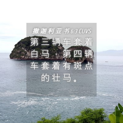 Picture 04 - 撒 迦 利 亚 书 6:3 CUVS - 第 三 辆 车 套 着 白 马 ， 第 四 辆 - Bible Verse Picture