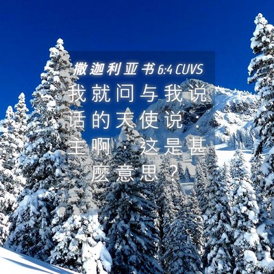 Picture 04 - 撒 迦 利 亚 书 6:4 CUVS - 我 就 问 与 我 说 话 的 天 使 说 ： - Bible Verse Picture