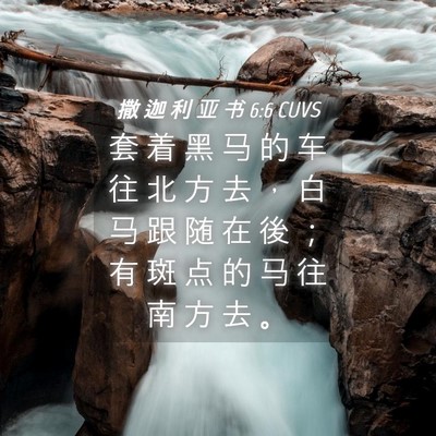 Picture 04 - 撒 迦 利 亚 书 6:6 CUVS - 套 着 黑 马 的 车 往 北 方 去 ， 白 - Bible Verse Picture