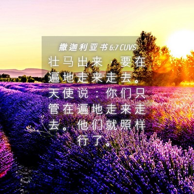 Picture 04 - 撒 迦 利 亚 书 6:7 CUVS - 壮 马 出 来 ， 要 在 遍 地 走 来 走 - Bible Verse Picture