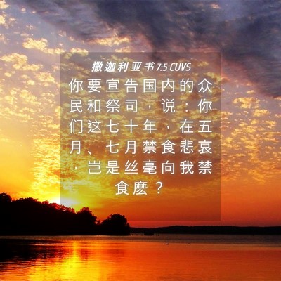 Picture 04 - 撒 迦 利 亚 书 7:5 CUVS - 你 要 宣 告 国 内 的 众 民 和 祭 司 - Bible Verse Picture