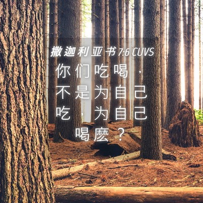 Picture 04 - 撒 迦 利 亚 书 7:6 CUVS - 你 们 吃 喝 ， 不 是 为 自 己 吃 ， - Bible Verse Picture