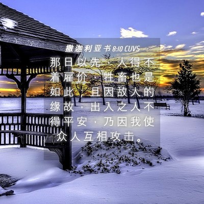 Picture 04 - 撒 迦 利 亚 书 8:10 CUVS - 那 日 以 先 ， 人 得 不 着 雇 价 ， - Bible Verse Picture