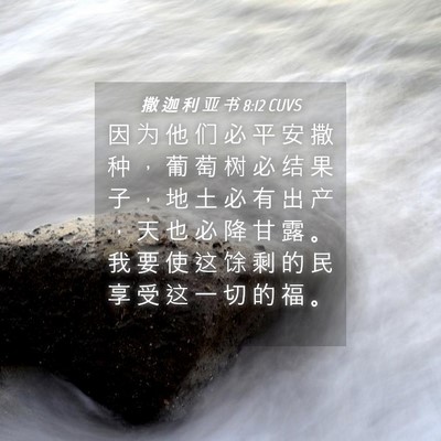 Picture 04 - 撒 迦 利 亚 书 8:12 CUVS - 因 为 他 们 必 平 安 撒 种 ， 葡 萄 - Bible Verse Picture
