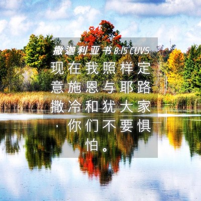 Picture 04 - 撒 迦 利 亚 书 8:15 CUVS - 现 在 我 照 样 定 意 施 恩 与 耶 路 - Bible Verse Picture