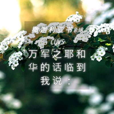 Picture 04 - 撒 迦 利 亚 书 8:18 CUVS - 万 军 之 耶 和 华 的 话 临 到 我 说 - Bible Verse Picture