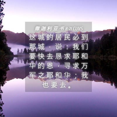 Picture 04 - 撒 迦 利 亚 书 8:21 CUVS - 这 城 的 居 民 必 到 那 城 ， 说 ： - Bible Verse Picture