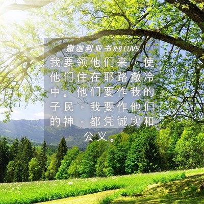 Picture 04 - 撒 迦 利 亚 书 8:8 CUVS - 我 要 领 他 们 来 ， 使 他 们 住 在 - Bible Verse Picture