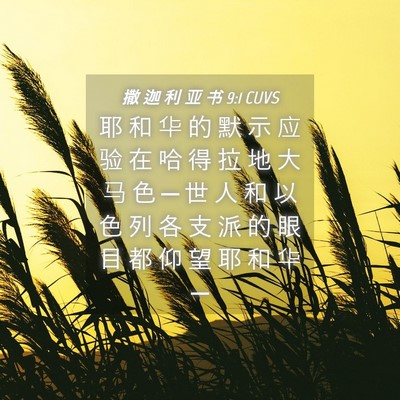 Picture 04 - 撒 迦 利 亚 书 9:1 CUVS - 耶 和 华 的 默 示 应 验 在 哈 得 拉 - Bible Verse Picture