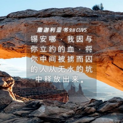 Picture 04 - 撒 迦 利 亚 书 9:11 CUVS - 锡 安 哪 ， 我 因 与 你 立 约 的 血 - Bible Verse Picture