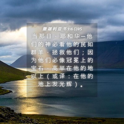 Picture 04 - 撒 迦 利 亚 书 9:16 CUVS - 当 那 日 ， 耶 和 华 ─ 他 们 的 神 - Bible Verse Picture