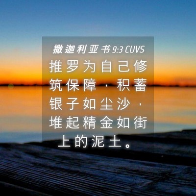 Picture 04 - 撒 迦 利 亚 书 9:3 CUVS - 推 罗 为 自 己 修 筑 保 障 ， 积 蓄 - Bible Verse Picture