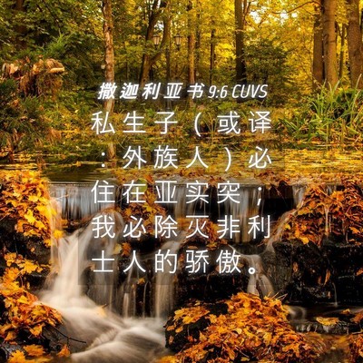 Picture 04 - 撒 迦 利 亚 书 9:6 CUVS - 私 生 子 （ 或 译 ： 外 族 人 ） 必 - Bible Verse Picture
