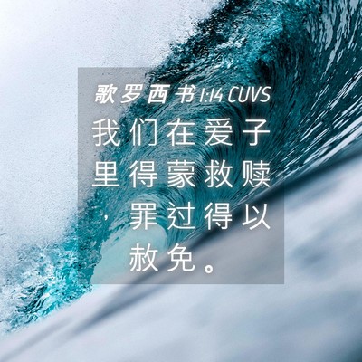 Picture 04 - 歌 罗 西 书 1:14 CUVS - 我 们 在 爱 子 里 得 蒙 救 赎 ， 罪 - Bible Verse Picture