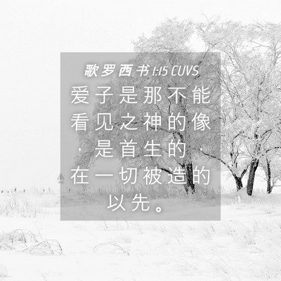 Picture 04 - 歌 罗 西 书 1:15 CUVS - 爱 子 是 那 不 能 看 见 之 神 的 像 - Bible Verse Picture