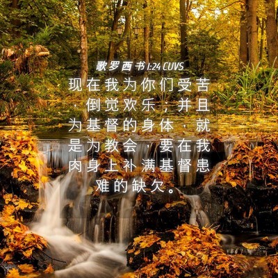 Picture 04 - 歌 罗 西 书 1:24 CUVS - 现 在 我 为 你 们 受 苦 ， 倒 觉 欢 - Bible Verse Picture